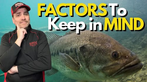 The Art of Mastering Depth When Bass Fishing