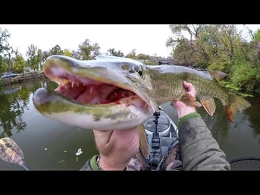 Fishing For A River BEAST!