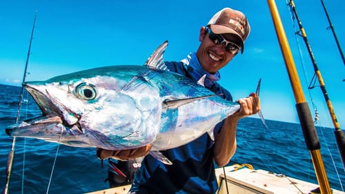 Fishing for Fast Bonito Fish ft. BlacktipH