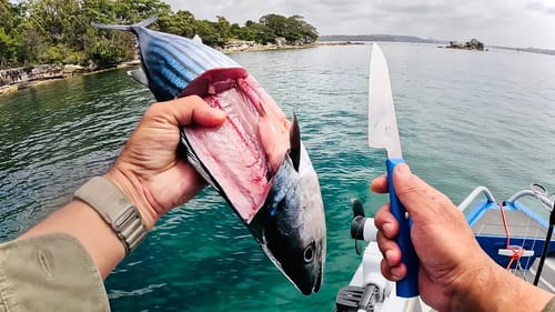 Solo Boat Camping, CATCH and COOK