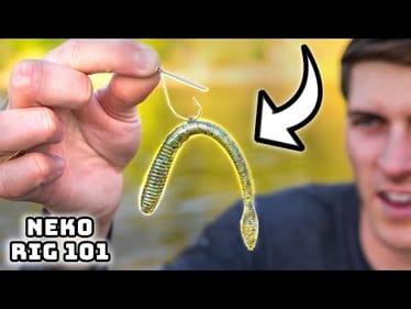 Learn To Fish The NEKO RIG In 2025! (Bass Fishing Masterclass)