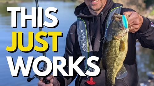 Fish Like This in the Fall and You Will Succeed | Fall Bass Fishing Tips