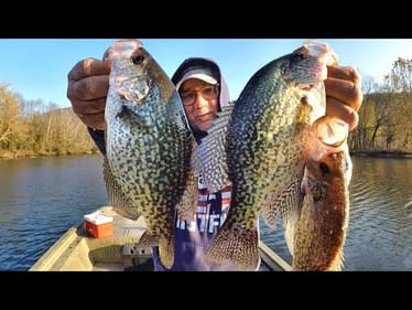 Crappie Can't Resist The Simple Live Minnow & Float Setup
