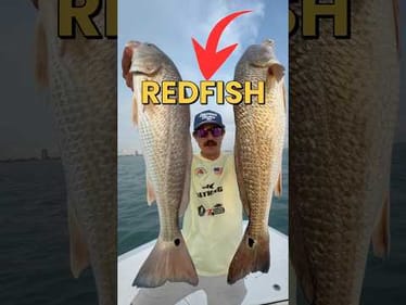 Fishing For Redfish In South Padre Island! #fishingvideos #fishing