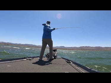 Roosevelt Lake Was ON FIRE! Non-Stop Action!
