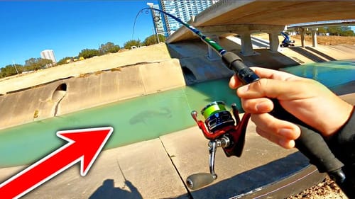 Catching BIG Fish TRAPPED in an Urban Run-off Canal!!