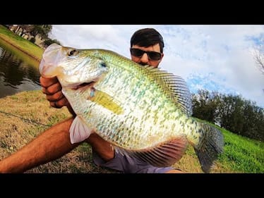 I've been CHASING THIS CRAPPIE ALL SPRING!
