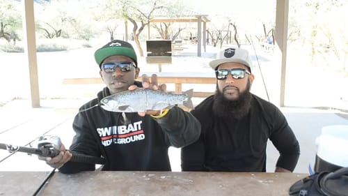My Rod & Reel Setups For My Big Swimbaits!