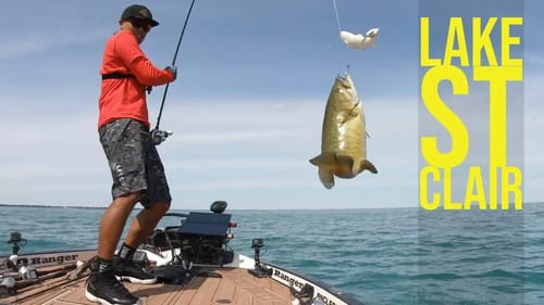 Personal Best St Claire Smallmouth on the Swimbait