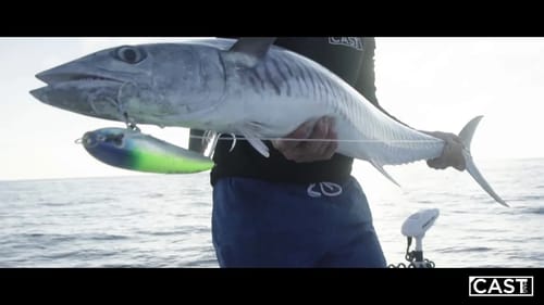 INSANE TOPWATER AIRSTRIKE AND METRE PLUS BARRA