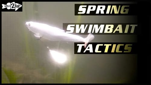Spring Bass Fishing With Weedless Swimbaits