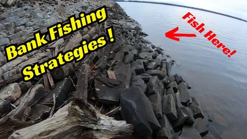 Bank Fishing Strategy! Will I Catch Anything Fishing This Spot?