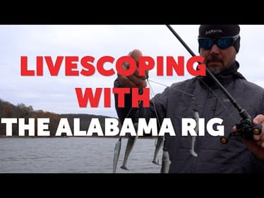 Winter Bass Fishing With an Alabama Rig