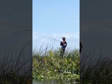 Flipping Heavy Cover on Lake Okeechobee! BOAT FLIP #shorts #bassfishing #okeechobee