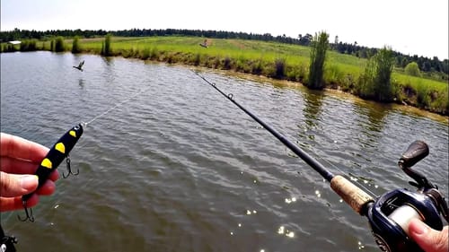 Fishing Topwater Snake Lures!