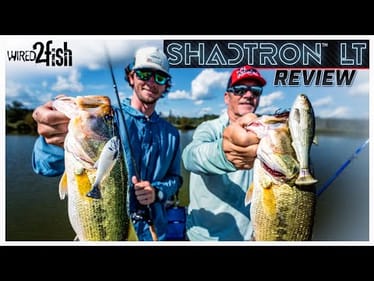 Z-Man Shadtron LT Swimbait | Realism and Rigging Versatility