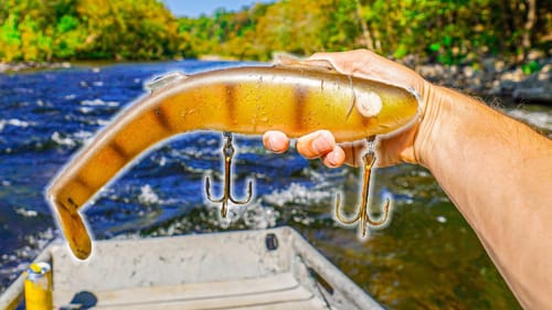 Sight Fishing RIVER MONSTERS With HUGE BAITS!! (unbelievable day)
