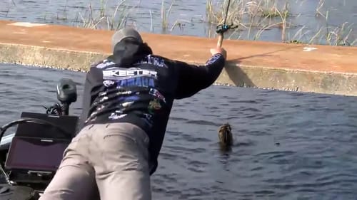 St. Johns River: Lee Livesay's unbelievable big bass catch
