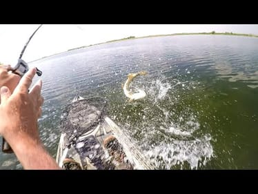 Crazy Pike Action Fishing A Lure I Found!