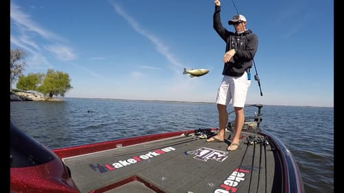Three Bass on One Stump
