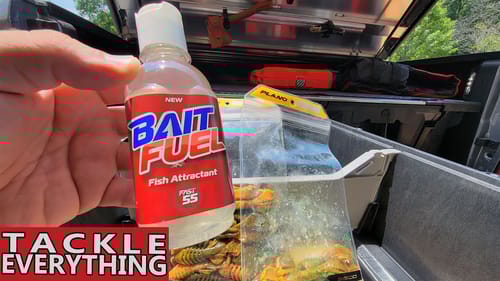 Bait Fuel  - A TRUE Test