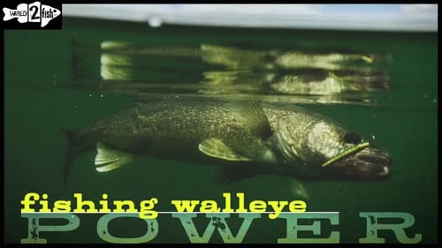 Power Fishing Walleye With Jigging Raps
