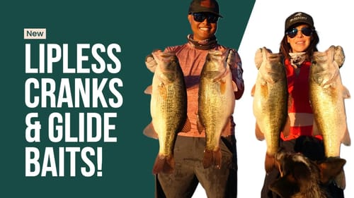 Lipless Hard Crankbait and Glide Bait Fishing on Clear Lake, CA