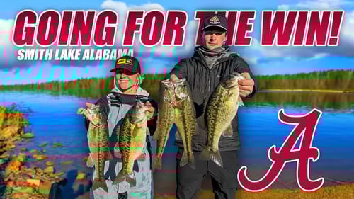 Going for the WIN at Smith Lake! - Alabama Bass Fishing Team