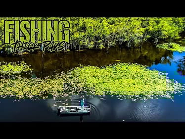 Fishing THICK LILY PADS With OLD SCHOOL FROG!!!!