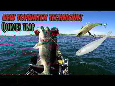 Fishing the Quiver Trap/Shindou Torappu(New Japanese Technique)