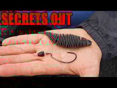 Texas Rig WORM Fishing will NEVER Be the Same After This