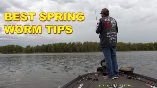 Spring Worm Fishing Tips for Bass Fishing | Bass Fishing