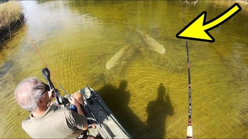 MONSTER FISH in CLEAR WATER FARM POND!!