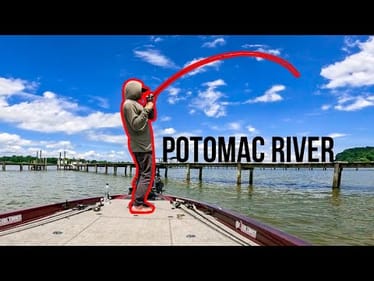 Potomac River Summertime GRASS and DOCK FISHING (Unexpected catch) || ALPHA SERIES