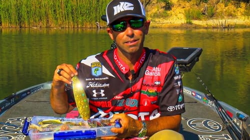 Fishing License Plates for Big Summer Bass