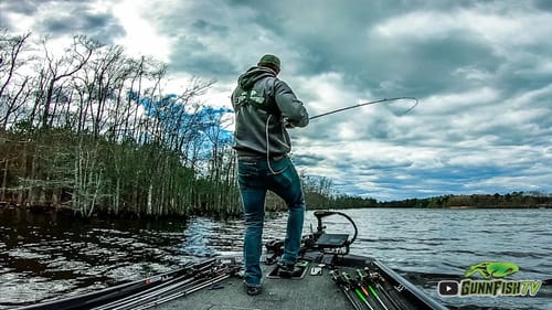 SHALLOW TREES Were LOADED With AGGRESSIVE PreSpawn BASS!! || We CRUSHED Them!!