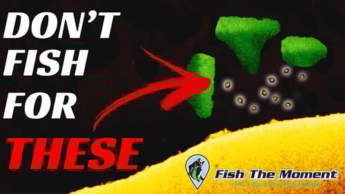 These Bass Are Uncatchable | Stop Wasting Your Time