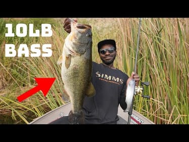 How To Catch Giant Bass With Big Swimbaits In The Winter!