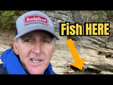 The Most Overlooked And Underrated Bass Fishing Spot On ANY Lake…