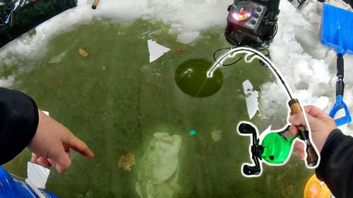 Catching BIG Fish through ULTRA-CLEAR Ice!!! (Pond Fishing)