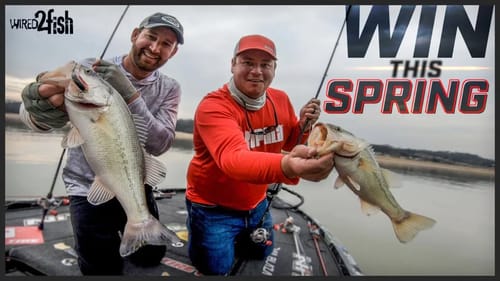 Prespawn Bass Fishing Crankbaits in Creek Arms | Ott's Secrets 🤫