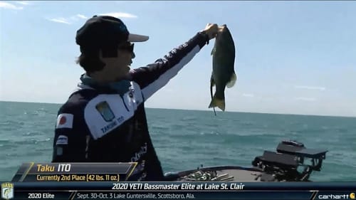 Taku Ito's big catch (Lamprey connected to bass)