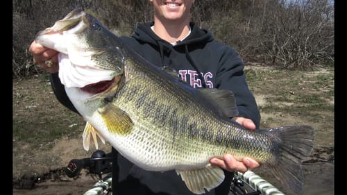 What is LakeForkGuy Fishing TV?