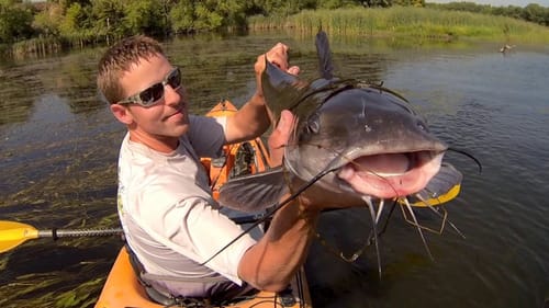 Catfish On A Bitsy Bug Jig 9-6-2013