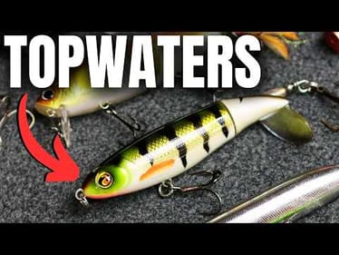 The LAST Topwater Video You'll Ever Watch (Topwater Masterclass)