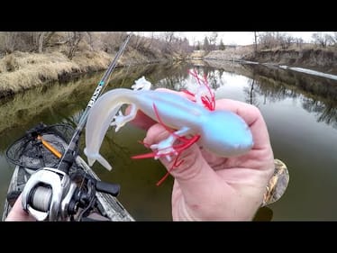 Big Fish Eat Salamanders!