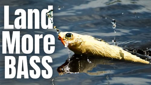 CATCH & LAND More BASS On TOPWATERS With The RIGHT EQUIPMENT (Spooks Pt. 3)