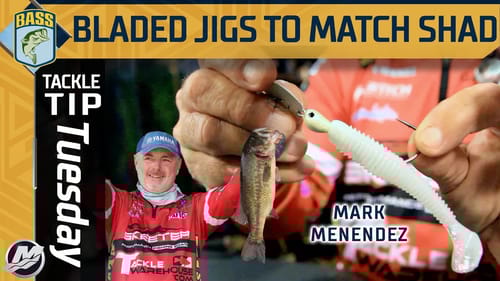 Matching Fall Baitfish with a Bladed Jig