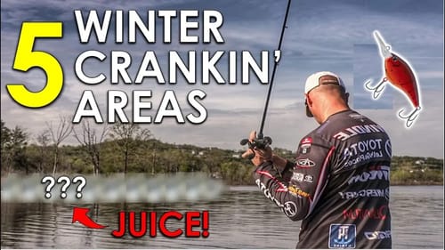 Best Winter Bass Fishing Areas for Crankbaits