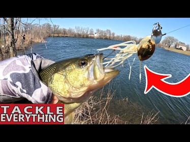 You'll NEVER CHOOSE the WRONG Spinnerbait Again with THIS TIP